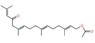 Eleganolone acetate